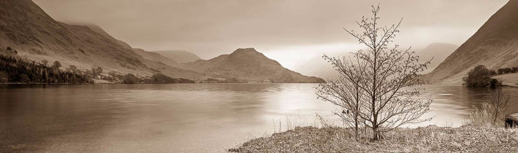 Crummock Water tree Ref-PS347